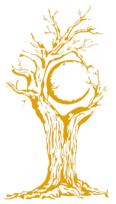 Pertinences CI - Logo Icone blanche _ transparent